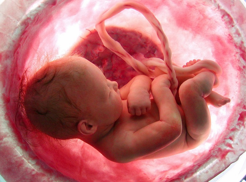 sonography centres in bapunagar