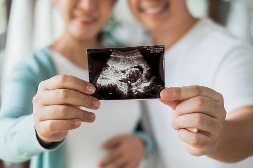 fetal medicine specialist in bapunagar